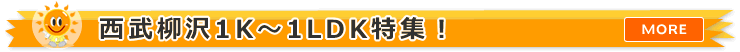 ��������1R�E1K�E1DK�E1LDK�̕������W